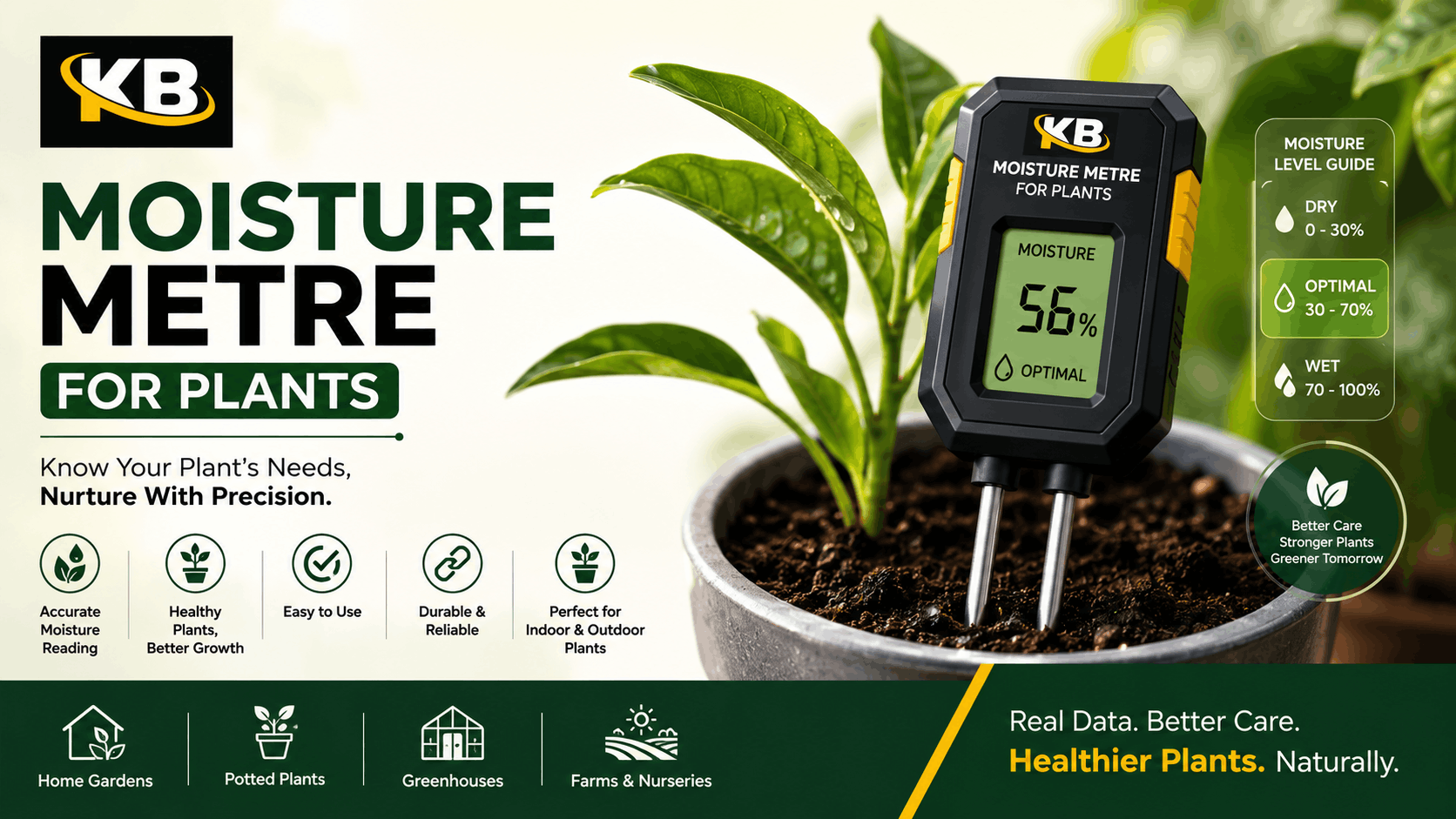Moisture Meter for Plants: The Complete Guide to Healthy Plant Growth and Smart Watering