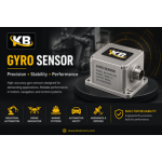 Gyro Sensor